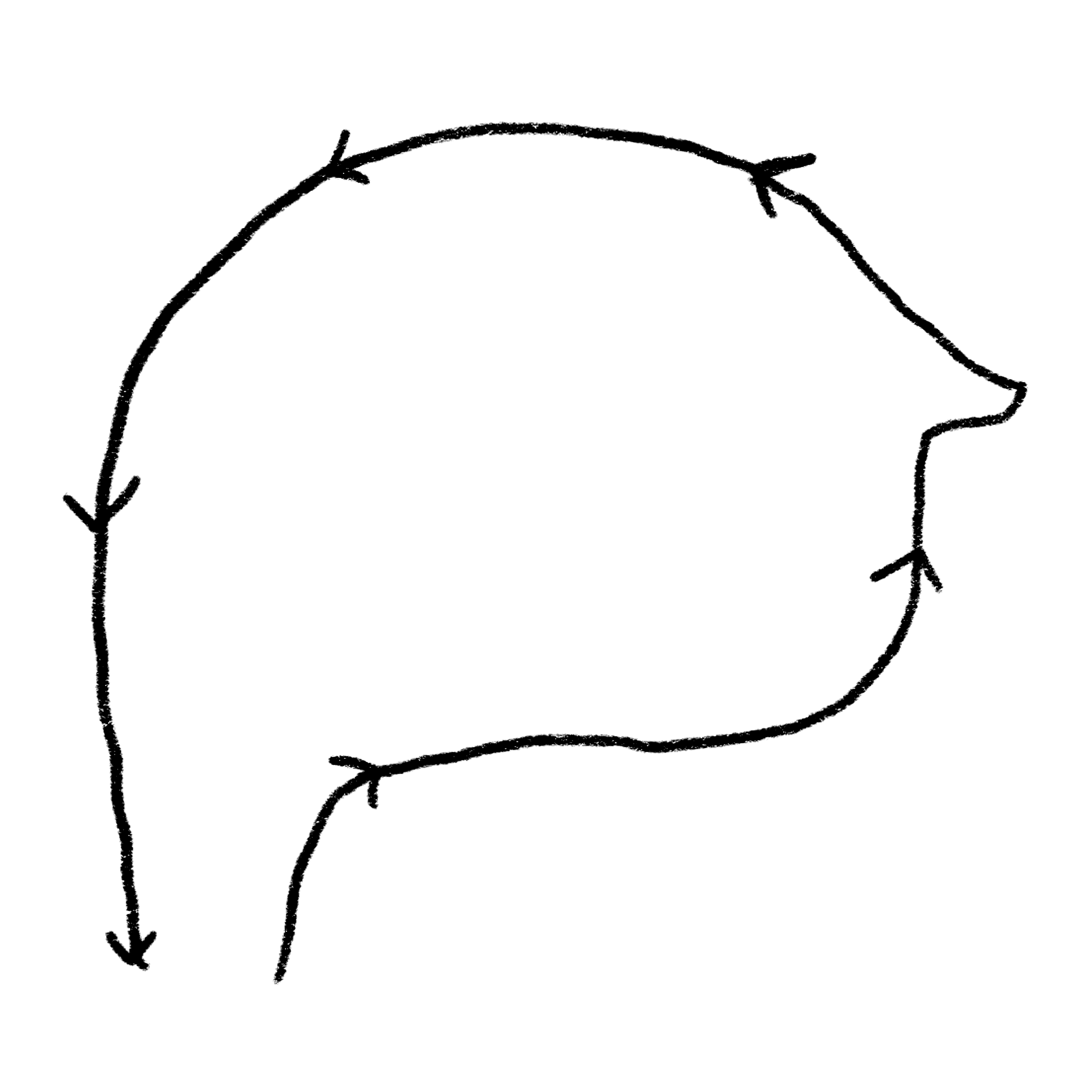 Growth visualization